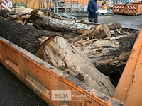 Container hout - afbeelding 1 van  5