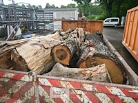 Container hout - afbeelding 2 van  5