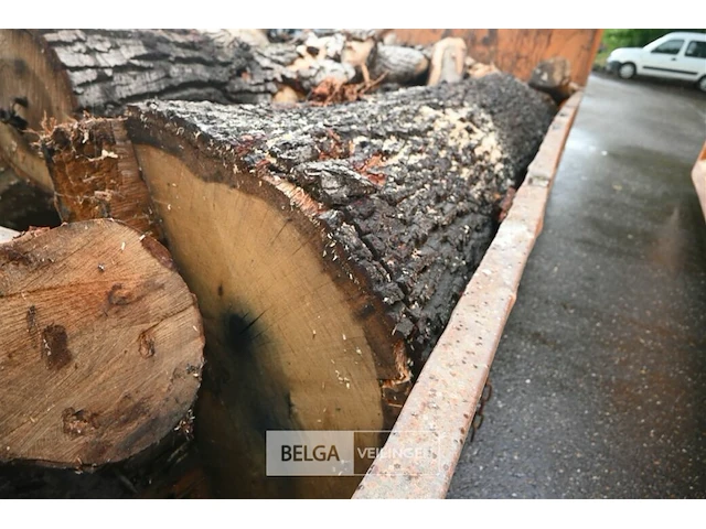 Container hout - afbeelding 3 van  5