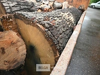 Container hout - afbeelding 3 van  5
