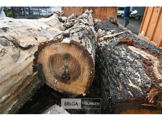 Container hout - afbeelding 4 van  5