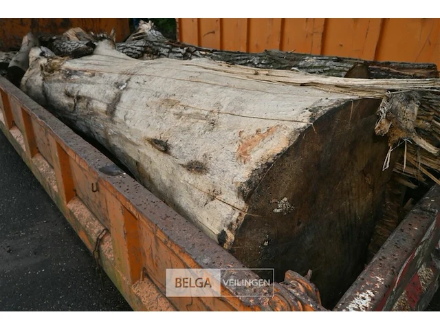 Container hout - afbeelding 5 van  5