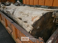 Container hout - afbeelding 5 van  5
