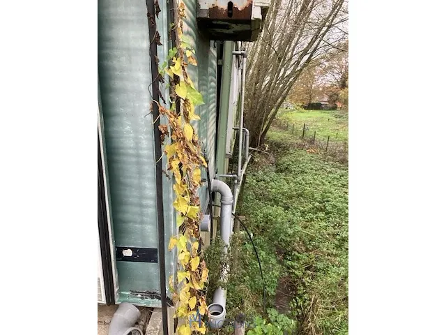 Container met phytolokaal - afbeelding 5 van  15