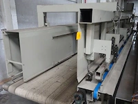 Conveyor with carpet depositer - afbeelding 3 van  4