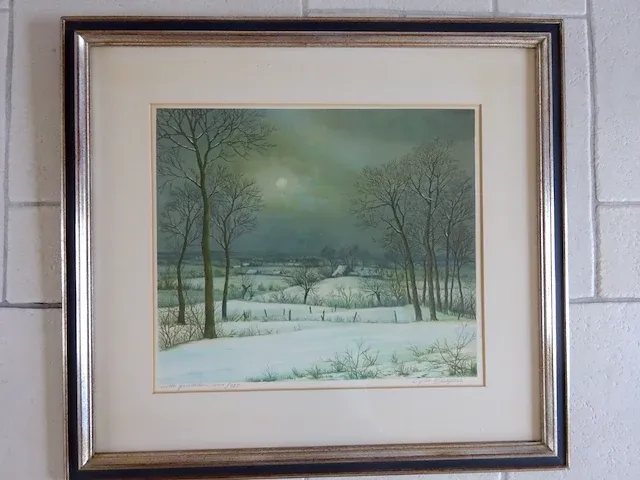 Cosyns gies - winter - afbeelding 1 van  3