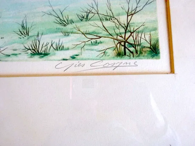 Cosyns gies - winter - afbeelding 3 van  3