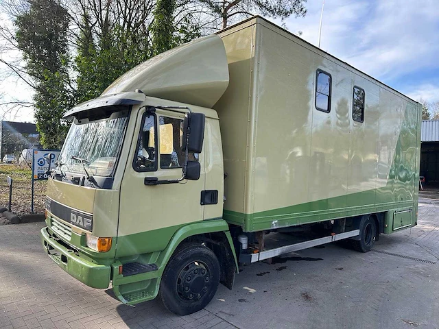 Daf 45 - 1998 - vrachtwagen paardentransport - afbeelding 12 van  40