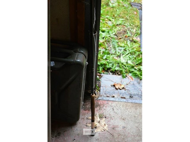 Daiwa vliegenvis hengel - afbeelding 2 van  4