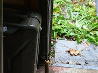 Daiwa vliegenvis hengel - afbeelding 2 van  4