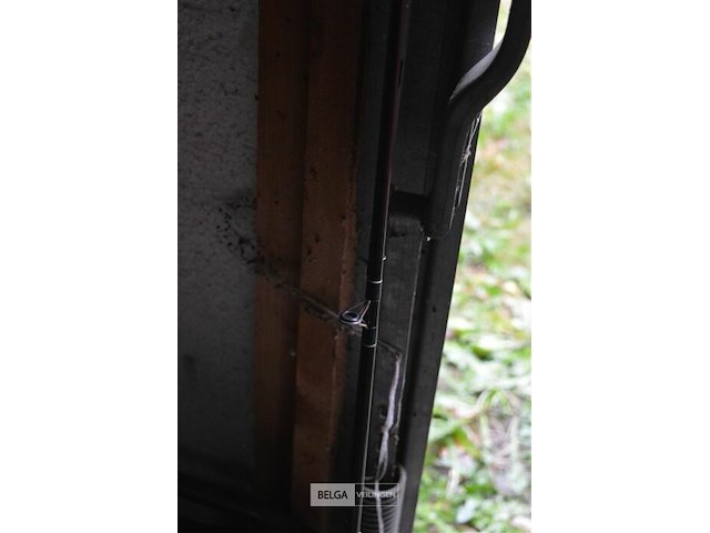 Daiwa vliegenvis hengel - afbeelding 3 van  4