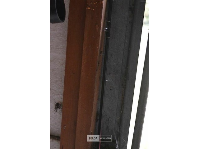 Daiwa vliegenvis hengel - afbeelding 4 van  4