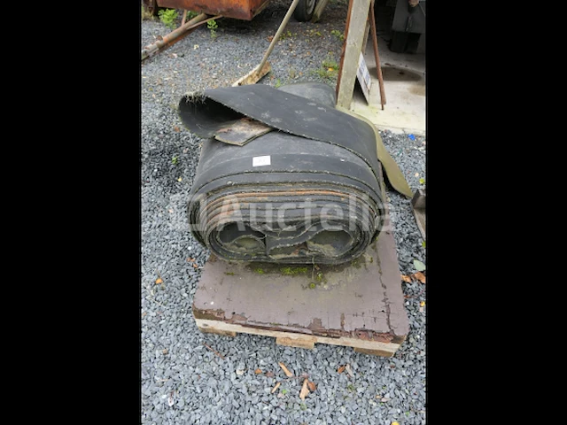 Dakgoten, roosters, transportband - afbeelding 7 van  9