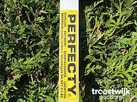 Dakladder - afbeelding 5 van  6