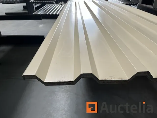 Dakpanelen | dakplaten | staalplaten | golfplaten | wandplaten | 03 - afbeelding 4 van  6