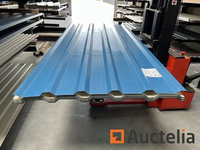 Dakpanelen | dakplaten | staalplaten | golfplaten | wandplaten | 04 - afbeelding 1 van  5