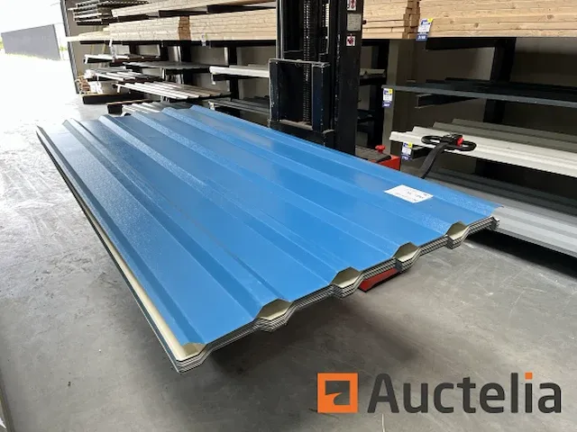 Dakpanelen | dakplaten | staalplaten | golfplaten | wandplaten | 04 - afbeelding 5 van  5