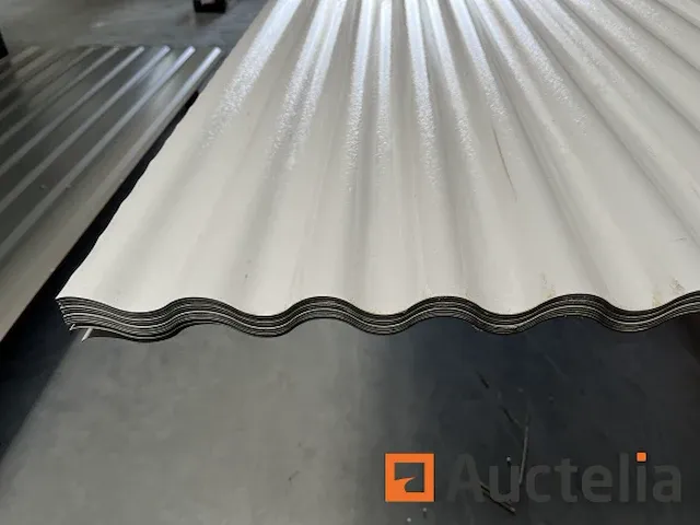Dakpanelen | dakplaten | staalplaten | golfplaten | wandplaten | 07 - afbeelding 2 van  5