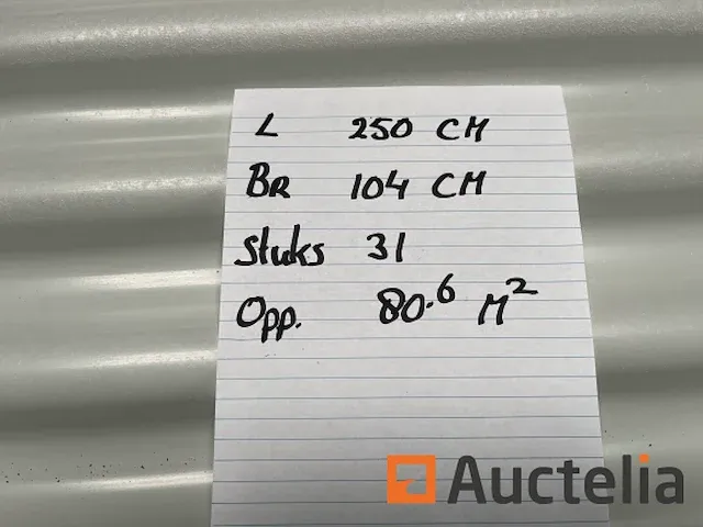 Dakpanelen | dakplaten | staalplaten | golfplaten | wandplaten | 09 - afbeelding 3 van  6
