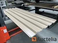 Dakpanelen | dakplaten | staalplaten | golfplaten | wandplaten | 13 - afbeelding 2 van  5