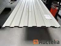 Dakpanelen | dakplaten | staalplaten | golfplaten | wandplaten | 15 - afbeelding 1 van  6