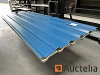 Dakpanelen - afbeelding 1 van  7