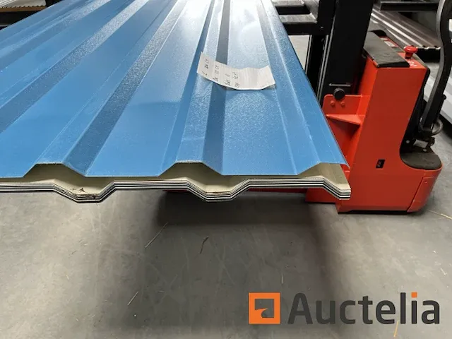Dakpanelen - afbeelding 6 van  7
