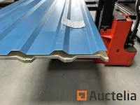 Dakpanelen - afbeelding 6 van  7