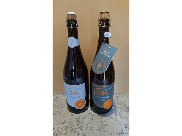 Dame jeanne 75cl 2 flessen - afbeelding 1 van  6
