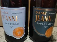 Dame jeanne 75cl 2 flessen - afbeelding 2 van  6