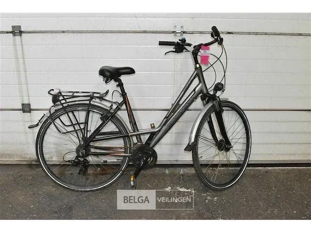 Damesfiets grenada thampson grijs - afbeelding 1 van  3