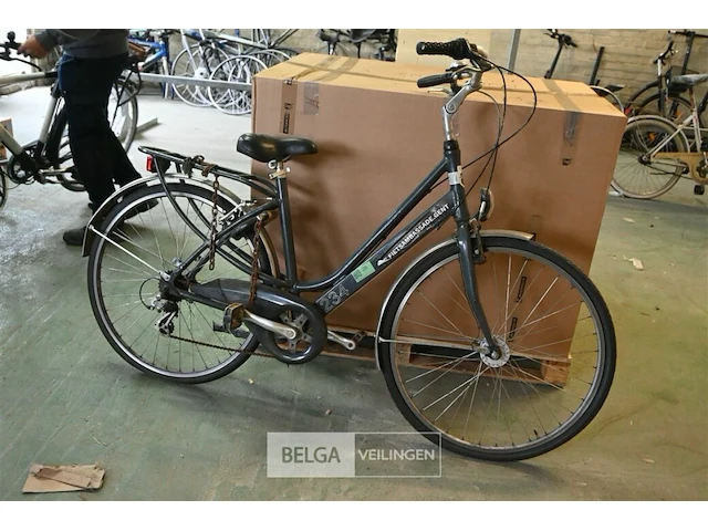 Damesfiets max mobiel - afbeelding 1 van  3