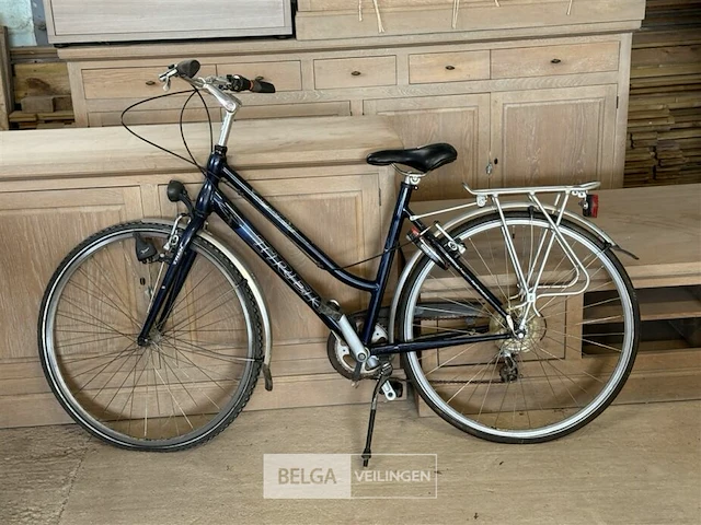 Damesfiets trek - afbeelding 1 van  5