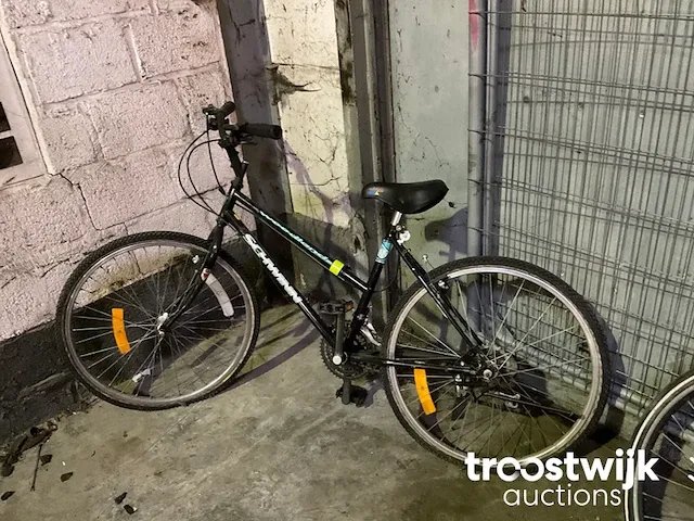 Damesfiets - afbeelding 6 van  6