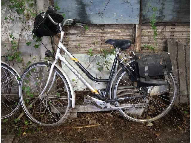 Damesfiets - afbeelding 1 van  5