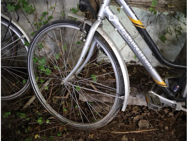 Damesfiets - afbeelding 5 van  5