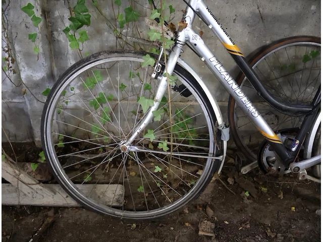 Damesfiets - afbeelding 4 van  5