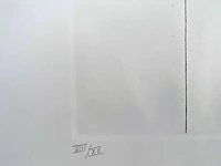 Dan van severen - ets - afbeelding 4 van  6