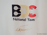Dart shirt tom verpoorten - afbeelding 3 van  3