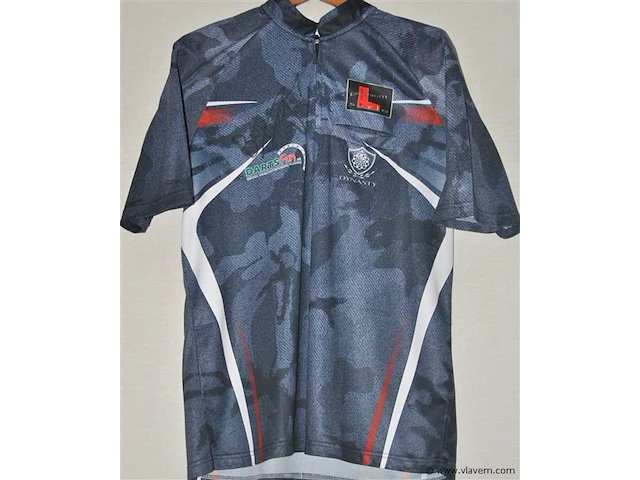 Darts shirt + een set flights, berry van peer - afbeelding 1 van  4