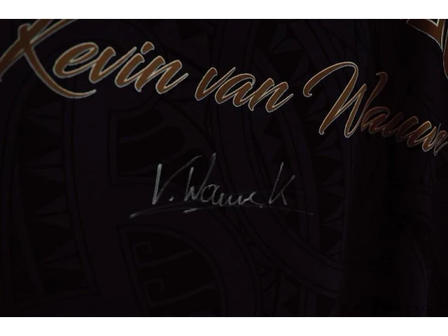 Darts shirt. kevin van wauwe - afbeelding 2 van  3