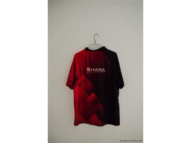 Darts shirt. shana van nieuwenhoven - afbeelding 2 van  3