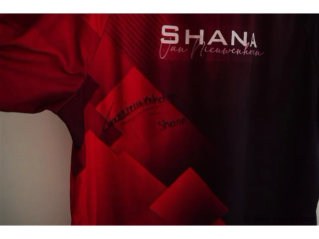 Darts shirt. shana van nieuwenhoven - afbeelding 3 van  3