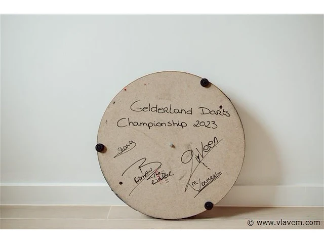 Dartsblok. gian van veen - afbeelding 1 van  3