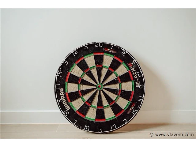 Dartsblok. gian van veen - afbeelding 3 van  3