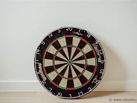 Dartsblok. gian van veen - afbeelding 3 van  3