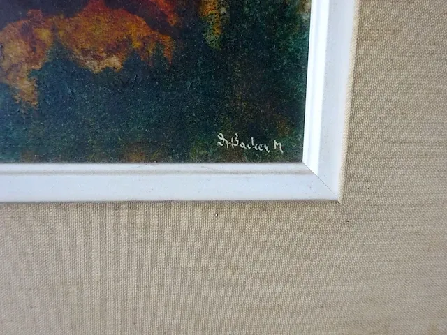 De backer marcel - vis - afbeelding 3 van  4