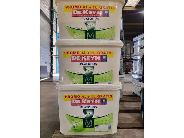De keyn wit plafond - afbeelding 1 van  2