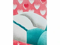 Deborah paauwe - kleurenlithografie - afbeelding 3 van  6