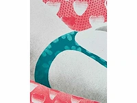 Deborah paauwe - kleurenlithografie - afbeelding 4 van  6